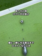画像3: 【カワハギ・フグ・アナゴに！！】LED点滅集魚ライト「光る眼玉」 (3)