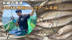 画像1: 【糸がらみ激減】シロギス専用ロングアーム天秤 (1)
