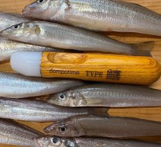 画像1: 【ウロコが飛び散らない＝超時短！】魚種別専用ウロコ取り-シロギス用ー (1)