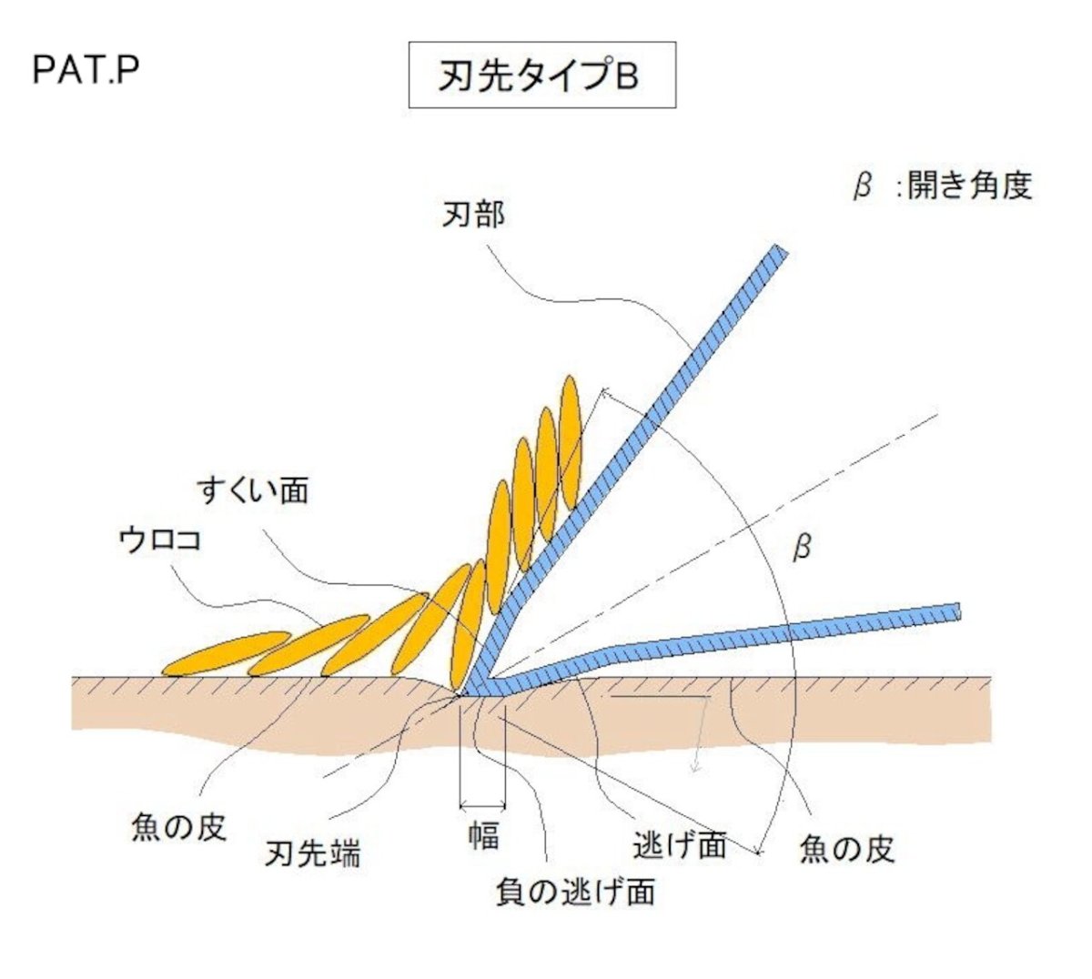 画像3: 【ウロコが飛び散らない＝超時短！】魚種別専用ウロコ取り-シロギス用ー (3)