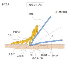 画像3: 【ウロコが飛び散らない＝超時短！】魚種別専用ウロコ取り-シロギス用ー (3)